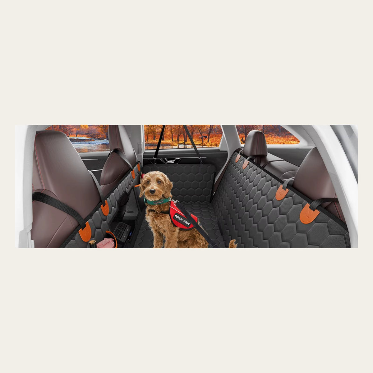 Dog lying on the back-seat extender